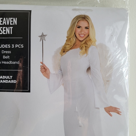 Angel Costume - Picture 2 of 5